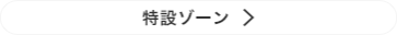 特設ゾーン