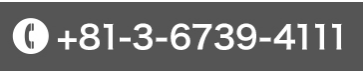 +81-3-6739-4111
