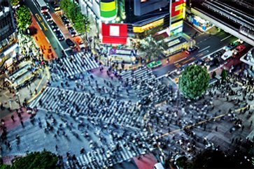 Shibuya, Harajuku & Shinjuku