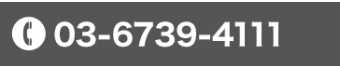 03-6739-4111