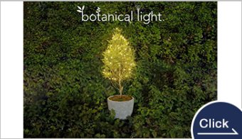 植物の力で発電！未来のエネルギー『botanical light』