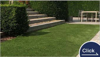 Commercial Turf