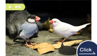 Bird Figurines