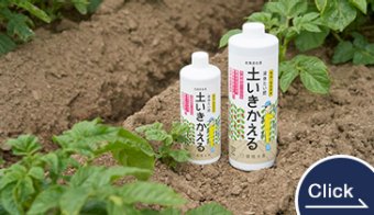 Liquid Fertilizer: Restoring Soil