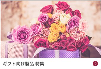 ギフト向け商品 特集