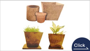Coir designer pots, stylish plant containers