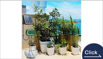 Solar irrigation system
