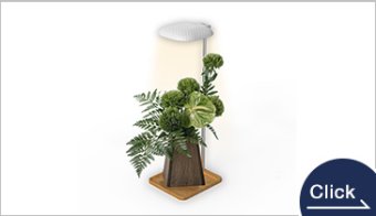 Plant Grow Lamp