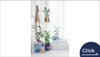 well plants