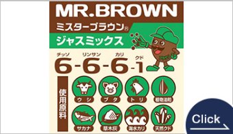 ミスターブラウン６６６/ジャスミックス