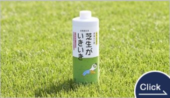 液体たい肥 芝生がいきいき