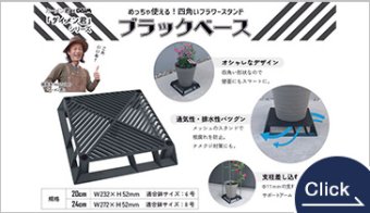 ブラックベース