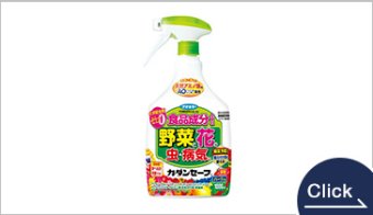 カダンセーフ