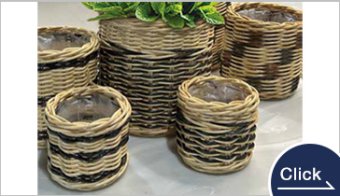 インテリアミニ植物にピッタリ！小型で良質な「鉢カバー」