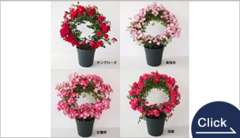 母の日ギフト「リング仕立て」