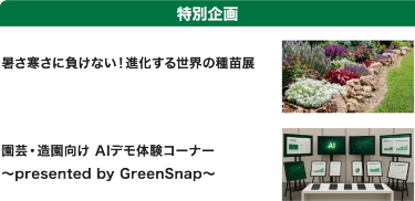 特別企画
