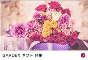 GARDEX ギフト 特集