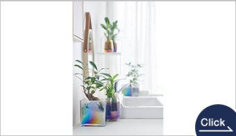 well plants