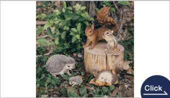 ハリネズミ＆リス