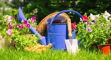 Gardening